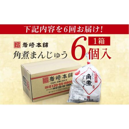 ふるさと納税 【6回定期便】長崎角煮まんじゅう6個入 （袋） 豚肉 東坡肉 レンジ ふわふわ ほかほか 五島市/岩崎本舗[PFL003]  冷凍 豚 豚角煮 .. 長崎県五島市の画像