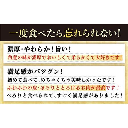 ふるさと納税 【3回定期便】長崎角煮まんじゅう10個 （袋） 豚肉 東坡肉 レンジ ふわふわ ほかほか 五島市/岩崎本舗[PFL010]  冷凍 豚 豚角煮 角.. 長崎県五島市の画像