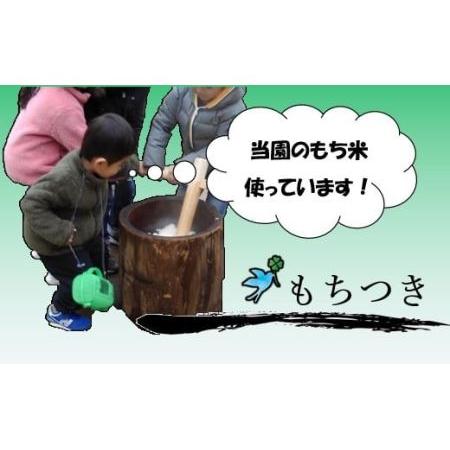 ふるさと納税 AS002 自然栽培の作物を楽しむ！餅つきイベントとしゃぶしゃぶ鍋 千葉県野田市 子供 小学生 高校生