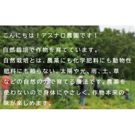 ふるさと納税 AS002 自然栽培の作物を楽しむ！餅つきイベントとしゃぶしゃぶ鍋 千葉県野田市 子供 小学生 高校生