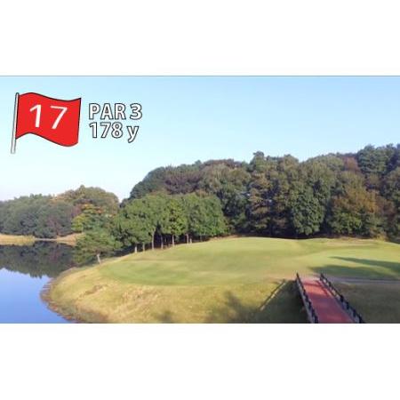 ふるさと納税 P004 野田市パブリックゴルフ場けやきコース平日利用券 千葉県野田市 