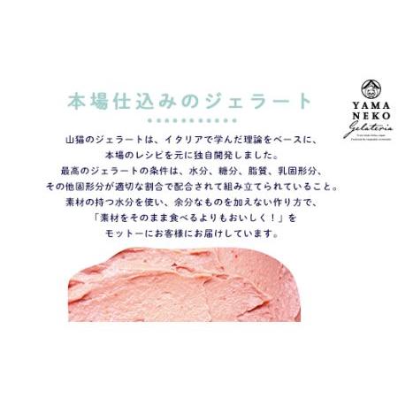 ふるさと納税 W03023 野菜ソムリエのイタリアンジェラート専門店＜山猫ソフトクリーム＞１８個セット 千葉県大多喜町の画像