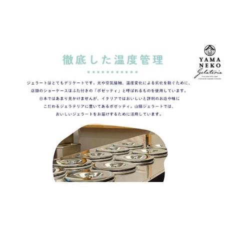 ふるさと納税 W03023 野菜ソムリエのイタリアンジェラート専門店＜山猫ソフトクリーム＞１８個セット 千葉県大多喜町の画像
