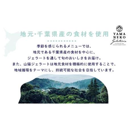 ふるさと納税 W03023 野菜ソムリエのイタリアンジェラート専門店＜山猫ソフトクリーム＞１８個セット 千葉県大多喜町の画像