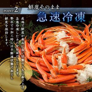 ふるさと納税 蟹 ボイル ズワイガニ 脚 3肩 宮城県亘理町_3