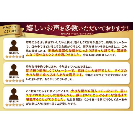 ふるさと納税 〈2026年度配送分〉露地桃大玉 5-6玉〈約1.8kg〉（2026年7月上旬〜下旬にかけて順次配送予定） 山梨県甲府市の画像