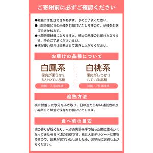 ふるさと納税 〈2026年度配送分〉露地桃大玉 5-6玉〈約1.8kg〉（2026年7月上旬〜下旬にかけて順次配送予定） 山梨県甲府市の画像