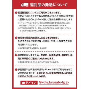 ふるさと納税 〈2026年度配送分〉露地桃大玉 5-6玉〈約1.8kg〉（2026年7月上旬〜下旬にかけて順次配送予定） 山梨県甲府市の画像