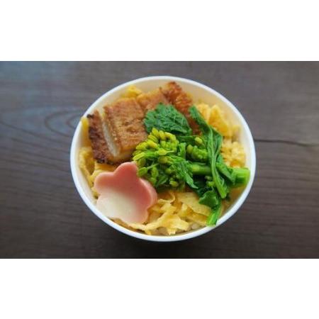 ふるさと納税 【花梓侘】coco寿し（9個入り） 京都府京都市の画像