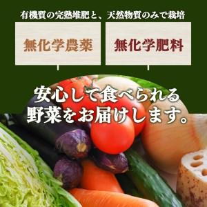 ふるさと納税 生命の農法（無化学農薬・無化学肥料栽培）玉ねぎ　５ｋｇ｜ヤサイ 野菜 やさい 玉葱 玉ねぎ たまねぎ 奈良県 五條市 5キロ 奈良県五條市｜furunavi｜05