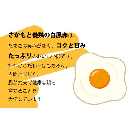 ふるさと納税 【定期便】さかもと養鶏の白鳳卵60個（30個入&times;全2回配送） | 卵 たまご 玉子 タマゴ　生たまご 生卵 白鳳卵　奈良県 五條市 奈良県五條市