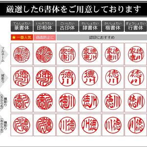 ふるさと納税 プレミアム ブラスト シルバー チタン印鑑 高級印鑑ケース付き サイズ 指定可能 印鑑 はんこ ハンコ 判子 ギフト 千葉県船橋市_2