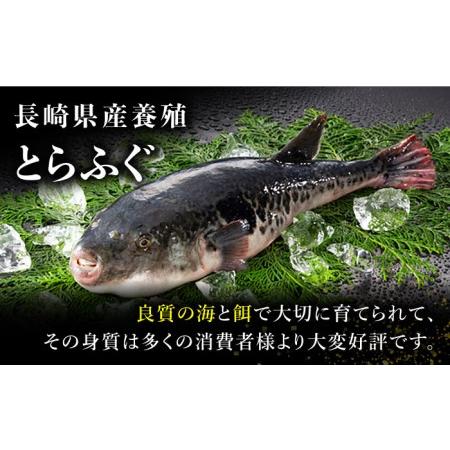 ふるさと納税 長崎県産 とらふぐ 刺身 5人前 アラ付き / ふぐ ふぐ刺し南島原市 / 大和庵[SCJ018] 長崎県南島原市｜furunavi｜03