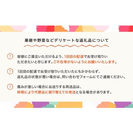 ふるさと納税 すいか ブラックジャック 1玉入り 約8~9kg 令和6年産 2024年産 果物 no-subjx1 ※沖縄・離島への配送不可 山形県村山市｜furunavi｜05