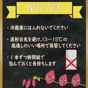 ふるさと納税 【緊急支援品】 訳あり 無選別 行方台地のさつまいも 熟成 シルクスイート 約10kg 【2026年4月下旬より順次発送】｜シルクスイート.. 茨城県行方市の画像