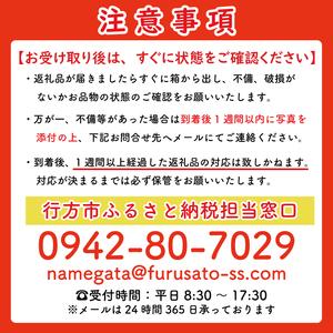 ふるさと納税 【緊急支援品】 訳あり 無選別 行方台地のさつまいも 熟成 シルクスイート 約10kg 【2026年4月下旬より順次発送】｜シルクスイート.. 茨城県行方市の画像