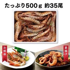 ふるさと納税 越前ガラエビ 約500g（約35〜40尾） 福井県若狭町｜furunavi｜04