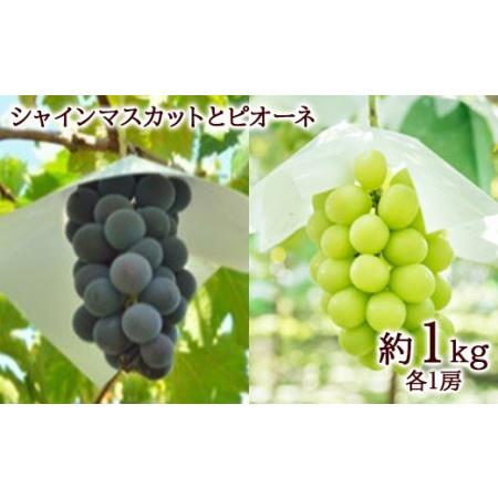 ふるさと納税 《2024年先行予約》みちのく【大暑】夏のフルーツ定期便 全4回 FSY-0165 山形県｜furunavi｜05