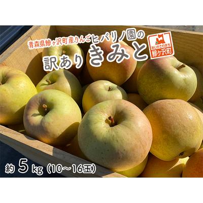 ふるさと納税 りんご きみと 訳あり ヒバリノ園 青森県産 りんご[約5kg 10?16玉] 青森県鰺ヶ沢町