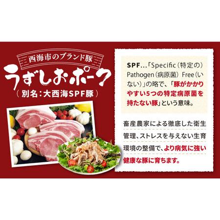 ふるさと納税 【訳あり】【12回定期便】 うずしおポーク 豚バラスライス 約1000g 国産豚＜スーパーウエスト＞ [CAG261] 長崎県西海市
