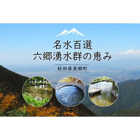 ふるさと納税 《定期便3ヶ月》ニテコ炭酸水(レモン) 300ml×24本入 「水の郷」の炭酸水 ご当地炭酸水 秋田県美郷町_2