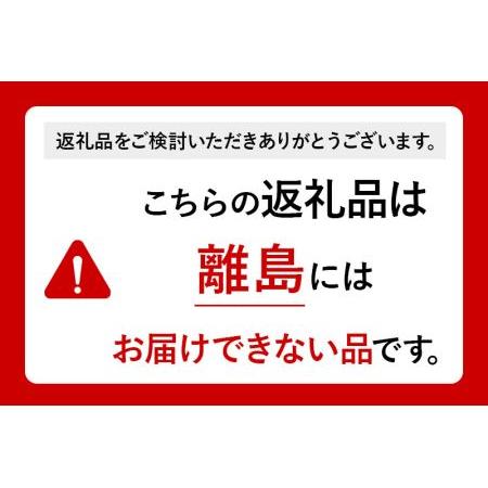 ふるさと納税 《定期便3ヶ月》ニテコサイダー 300ml×24本入 「水の郷」のサイダー ご当地サイダー 秋田県美郷町_2