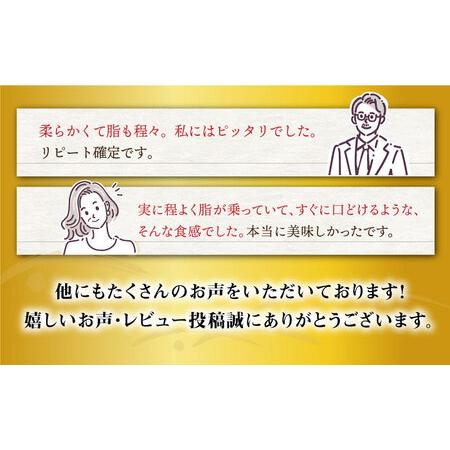 ふるさと納税 【12回定期便】 ヒレステーキ 約1kg（6?8枚） 長崎和牛 ＜大西海ファーム＞[CEK143]  長崎 長崎和牛 和牛 牛肉 肉 ヒレ フィレ ス.. 長崎県西海市｜furunavi｜04