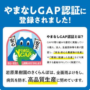 ふるさと納税 【2024年先行予約】完熟大玉・さくらんぼ（2〜3Lバラ 約700g） 山梨県北杜市｜furunavi｜02