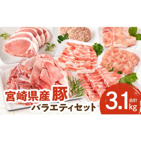 ふるさと納税 宮崎県産豚 バラエティセット 7種 合計3.1kg 豚肉 肩ロース 小間切れ 宮崎県宮崎市