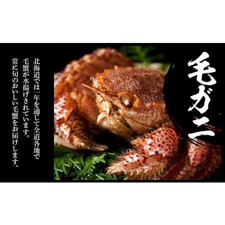 【限定品】 ふるさと納税 タラバ脚 & 毛蟹 食べ比べ セット 北海道白老町 【9441972781】(33250円)