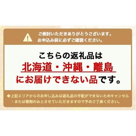 ふるさと納税 アップルパイ 加積りんごパイ 100個入 デザート スイーツ おやつ お菓子 菓子 洋菓子 焼き菓子 りんご リンゴ 林檎 富山 富山県 富山県魚津市｜furunavi｜05