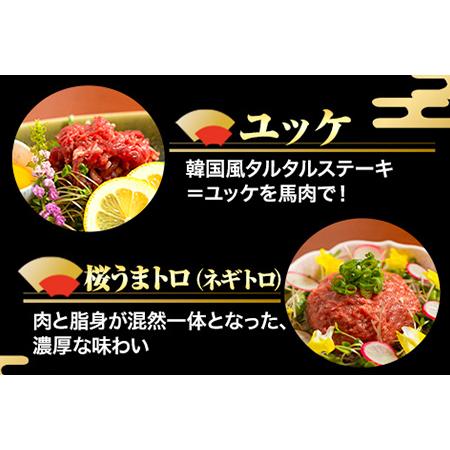 ふるさと納税 馬刺し7部位堪能セット 約510g タレ付き 千興ファーム 馬肉 冷凍 《60日以内に順次出荷(土日祝除く)》 新鮮 さばきたて 生食用 肉 .. 熊本県御船町 冷凍 土日祝除く