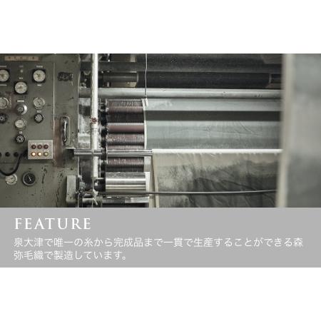 ふるさと納税 SERENE メリノウール ニューマイヤー [ブランケット／アイボリー] LP-121003IV [3106] 大阪府泉大津市_3