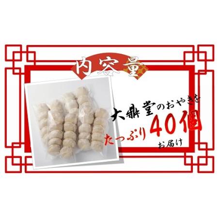 ふるさと納税 大鼎堂のおやき2種セット（豚にら・豚玉ねぎ）10個×2袋×2種　計40個[H4514] 福岡県福津市