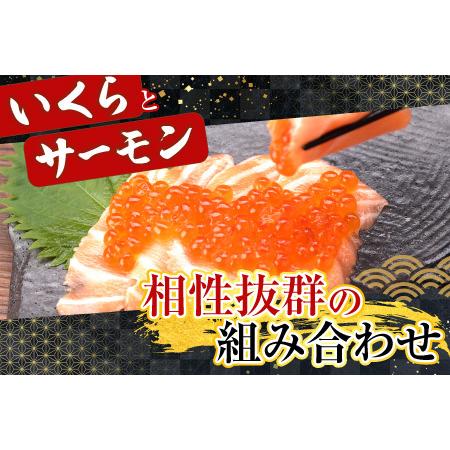 ふるさと納税 いくら醤油漬け70g×1P・刺身用トラウトサーモン(背)300〜400g×1本 A-14224 北海道根室市の画像