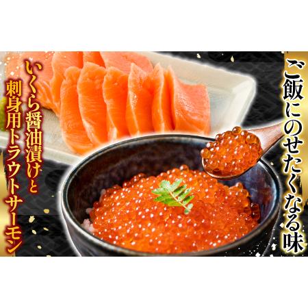 ふるさと納税 根室海鮮市場＜直送＞いくら醤油漬け70g×1P・刺身用トラウトサーモン(背)300〜400g×1本 A-28211 北海道根室市の画像