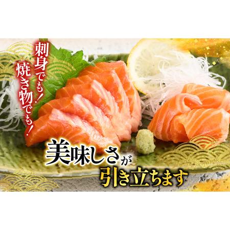 ふるさと納税 根室海鮮市場＜直送＞いくら醤油漬け70g×1P・刺身用トラウトサーモン(背)300〜400g×1本 A-28211 北海道根室市の画像