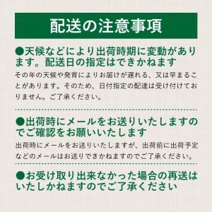 ふるさと納税 【2024年 先行予約】山梨県産　シャインマスカット 1.1kg (２房〜3房) 山梨県都留市｜furunavi｜05