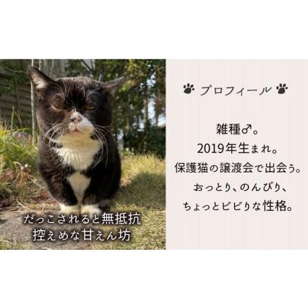 ふるさと納税 【 SNSで人気の猫 / 糸島観光大使】【 もんた 】キャンバス トートバッグ 糸島市 / Basismall 猫 ネコ 観光大使[AXL003] 猫キャン.. 福岡県糸島市｜furunavi｜05