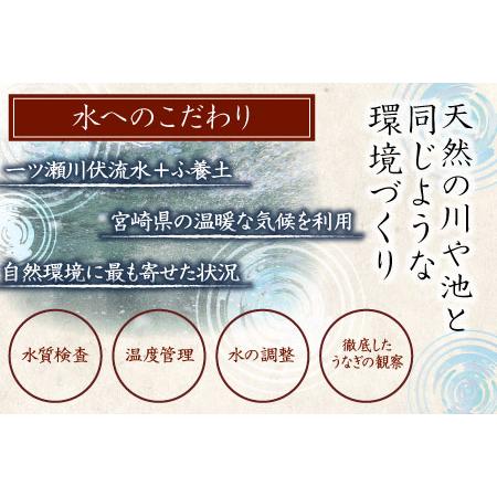 お得に買い物できます ふるさと納税 新仔?味鰻の手焼備長炭蒲焼 5尾（無頭）化粧箱入 熨斗対応可【D109-2311】国産 うなぎ 鰻 ウナギ 蒲焼 長焼 九州 宮崎 宮崎県新富町