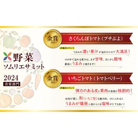 ふるさと納税 【先行受付】2027年1月〜6月毎月発送 新食感!!奇跡のさくらんぼミニトマトの定期便 約1kg×6回コース 野菜ソムリエサミット 金.. 愛知県碧南市_2
