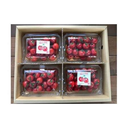 ふるさと納税 【先行受付】2027年1月〜6月毎月発送 新食感!!奇跡のさくらんぼミニトマトの定期便 約1kg×6回コース 野菜ソムリエサミット 金.. 愛知県碧南市_3