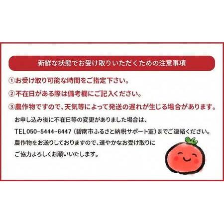 ふるさと納税 【先行受付】2027年1月〜6月毎月発送 新食感!!奇跡のさくらんぼミニトマトの定期便 約1kg×6回コース 野菜ソムリエサミット 金.. 愛知県碧南市_4