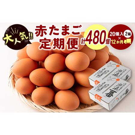 【5％OFF】 コンビニ受取対応商品 ふるさと納税 児湯養鶏自慢の卵 計480個 40個×12回 12ヶ月定期便 E19 宮崎県新富町 committed.jp committed.jp