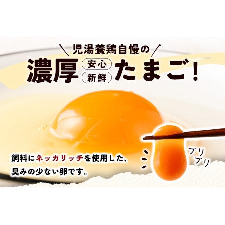 ふるさと納税 ＜児湯養鶏自慢の卵＞ネッカリッチ赤たまご「児湯一番」 計480個 （20個入×2箱）×12か月定期便【E19】 宮崎県新富町｜furunavi｜02