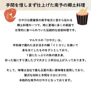 ふるさと納税 冷や汁 冷汁 5パック 冷や汁 愛媛県愛南町_1