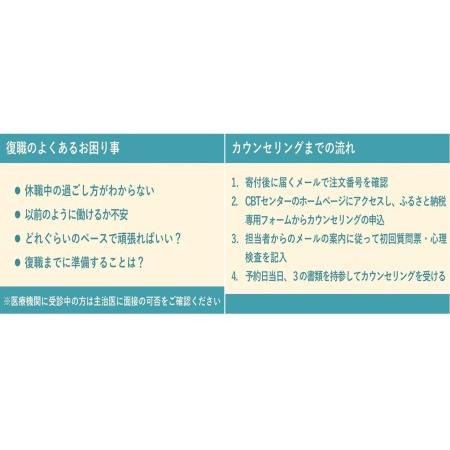 ふるさと納税 復職に向けてのWEBカウンセリング/ 50分 滋賀県彦根市 レンタル、各種サービス サービスクーポン、引換券 その他クーポン券 B1576263870(15640円)