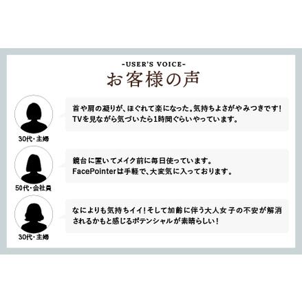 ふるさと納税 【数量限定】The FACE POiNTER 7th 取り扱い開始！ 福井