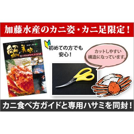 ふるさと納税 1719. ボイルズワイガニ姿 800g 食べ方ガイド・専用ハサミ付 カニ かに 蟹 海鮮 送料無料 北海道 弟子屈町 北海道弟子屈町