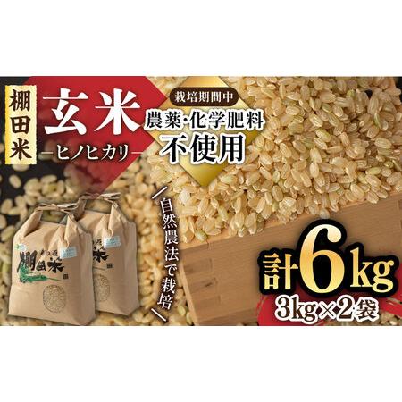 ふるさと納税 [自然農法で育てた玄米]令和5年産 ヒノヒカリ 玄米 6kg(3kg×2袋)棚田米 /永尾 忠則 [UAS006] 玄米 栽培期間中農薬不使用 .. 佐賀県武雄市